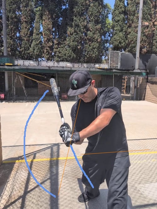 Cages Swing-7.70